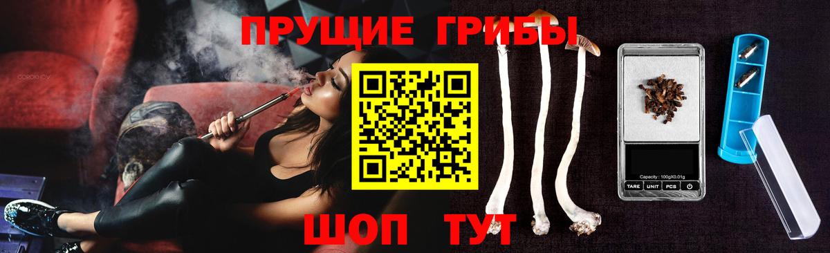 Псилоцибиновые грибы прущие грибы  Вход с VPN  Псилоцибиновые грибы прущие грибы  Сертолово 